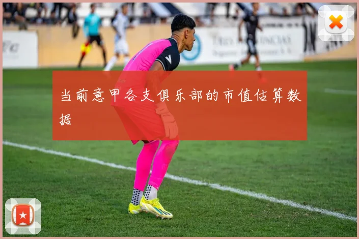 当前意甲各支俱乐部的市值估算数据