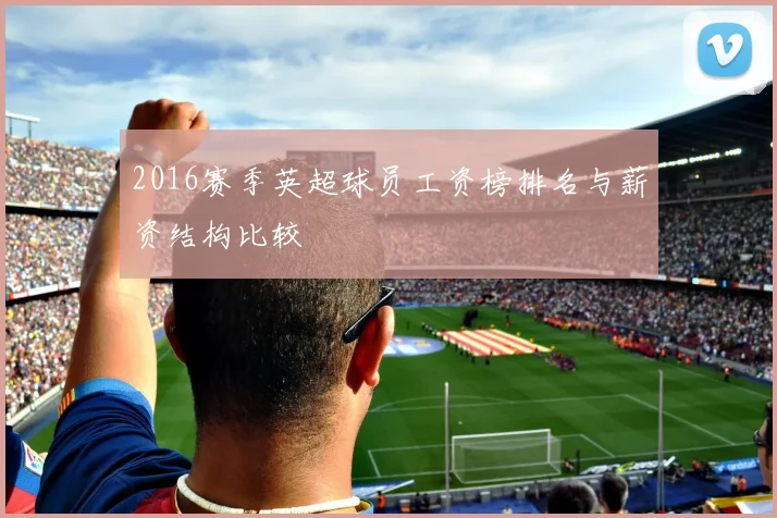 2016赛季英超球员工资榜排名与薪资结构比较