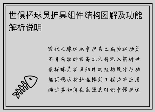 世俱杯球员护具组件结构图解及功能解析说明
